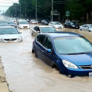 Overflowing streets with cars submerged in muddy water.