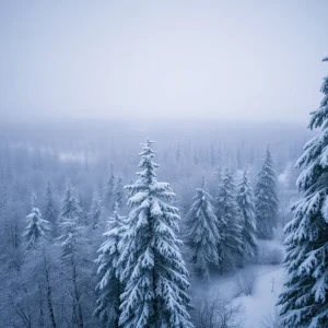 Winter landscape affected by polar vortex