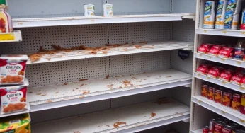 Michigan Faces Food Crisis Amid USDA Shipment Cancellations